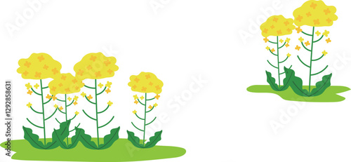 菜の花の背景イラスト
