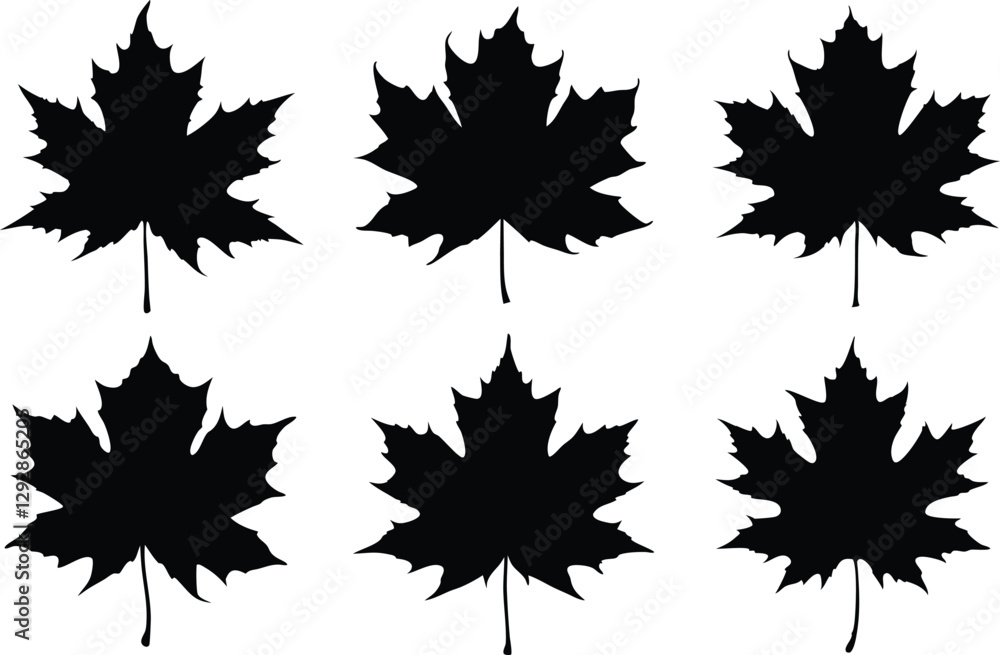 Maple leaf silhouette vector set, Canadian maple leaf icon vector Maple leaf silhouette vector set, Canadian maple leaf icon vector