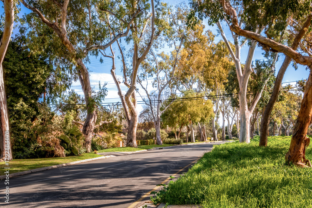 Streets and roads of Palos Verdes Estates, displaying clean neighborhood, community enhanced environment, lush landscape with ocean and countryside views Streets and roads of Palos Verdes Estates, displaying clean neighborhood, community enhanced environment, lush landscape with ocean and countryside views