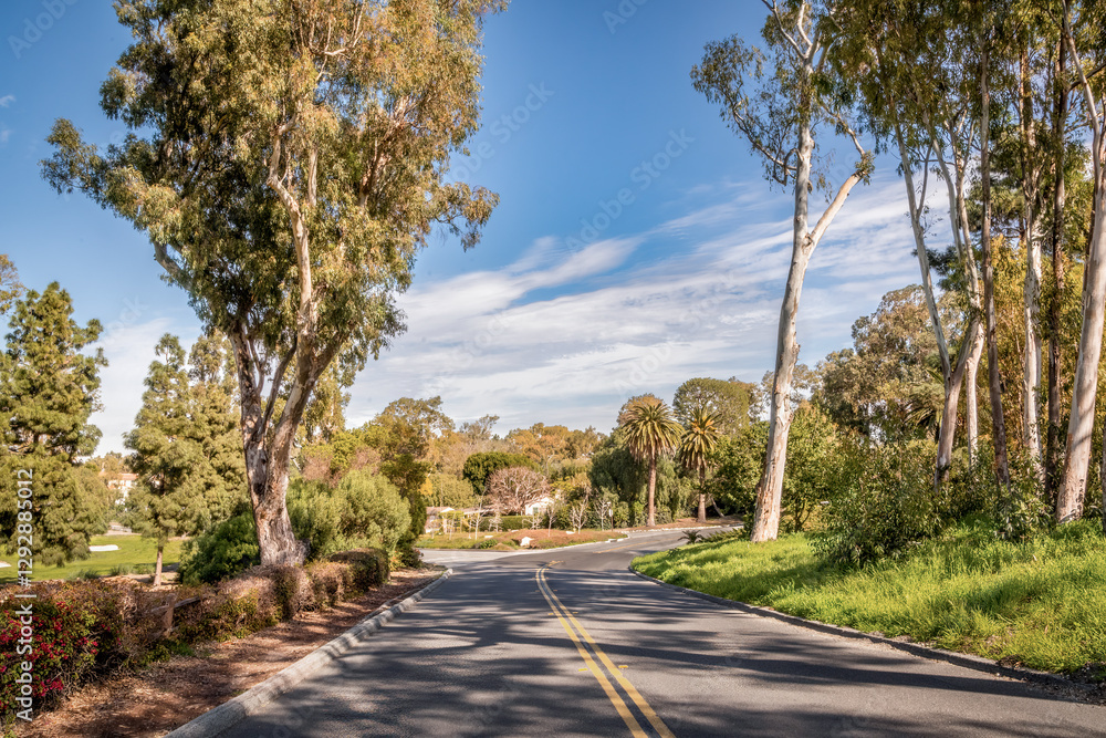 Streets and roads of Palos Verdes Estates, displaying clean neighborhood, community enhanced environment, lush landscape with ocean and countryside views
