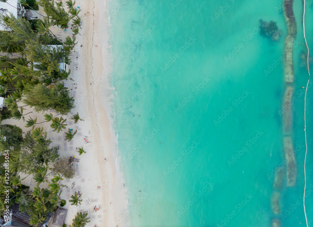 A beautiful blue ocean with a sandy beach and palm trees in the background