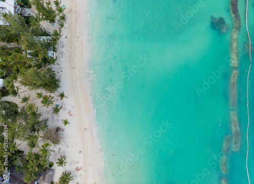 Obraz na płótnie A beautiful blue ocean with a sandy beach and palm trees in the background w salonie