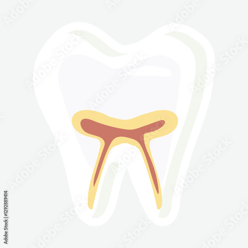 Tooth Anatomy Illustration. Vector illustration of a tooth showing internal structure, including enamel, dentin, and pulp