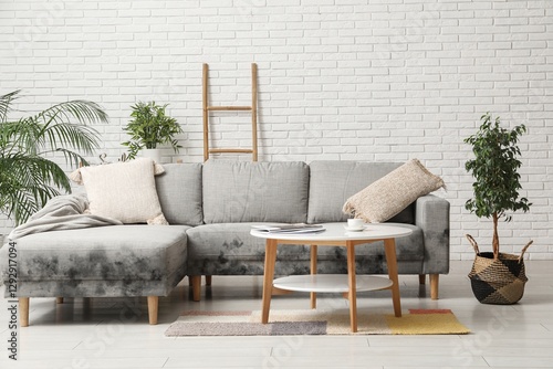 Grey sofa with mold in inte...
