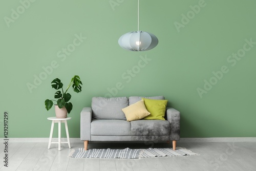 Grey sofa with mold in inte...
