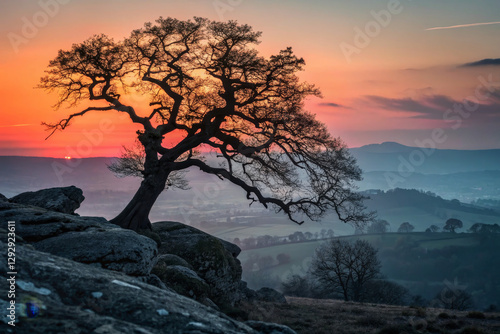 solitary tree silhouetted against vibrant sunset, showcasing nature beauty