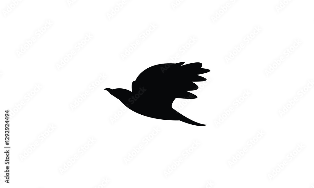 Obraz premium Flying African golden oriole bird Silhouette Design And Vector Illustration. 