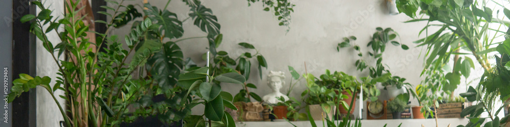 A fragment of the interior with a variety of indoor plants and plaster sculptures. Urban jungle concept. Biophilia design. A fragment of the interior with a variety of indoor plants and plaster sculptures. Urban jungle concept. Biophilia design.