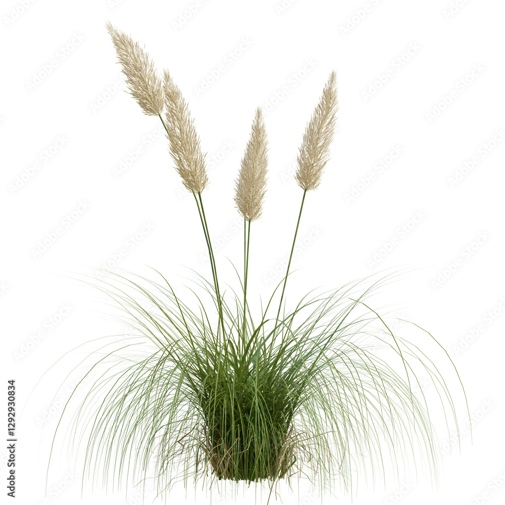 Fototapeta premium Beautiful garden plant