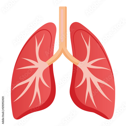 Detailed Human Lungs Illustration on White