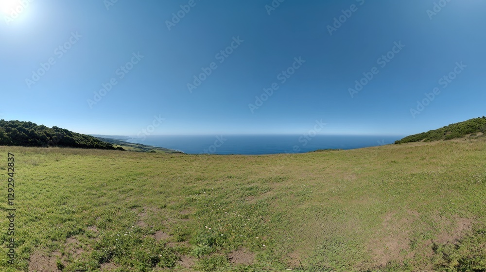 Sunny coastal grassland panorama; ocean view, hills; travel brochure Sunny coastal grassland panorama; ocean view, hills; travel brochure
