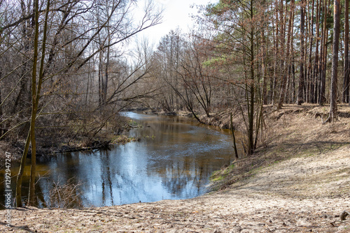 Tranquil River Flowing Through Forest in Early Spring