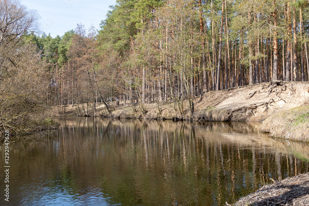 Tranquil River Flowing Through Forest in Early Spring Tranquil River Flowing Through Forest in Early Spring