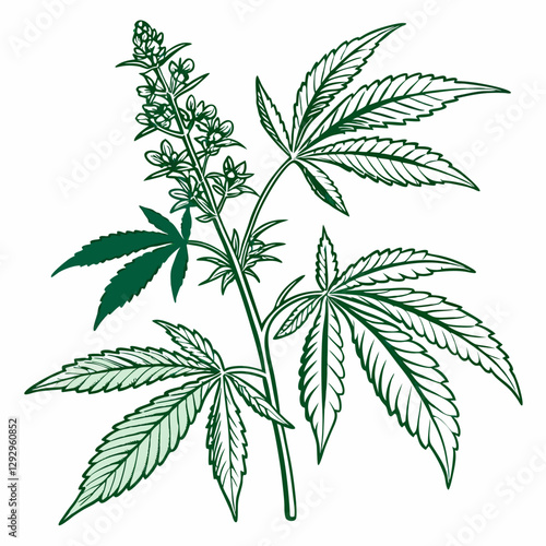 cannabis leaf vector illustration