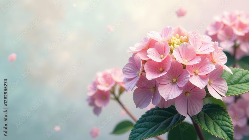Delicate Pink Hydrangea Blooms with Soft Background and Falling Petals A Serene Floral Image Delicate Pink Hydrangea Blooms with Soft Background and Falling Petals A Serene Floral Image