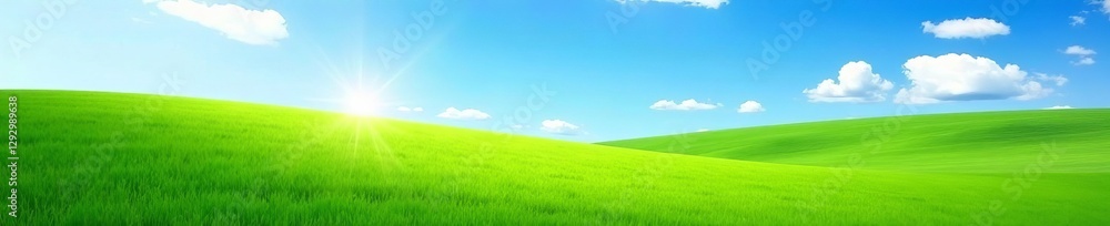 Obraz premium Lush green grass field under blue sky in springtime, season, blue sky, landscape