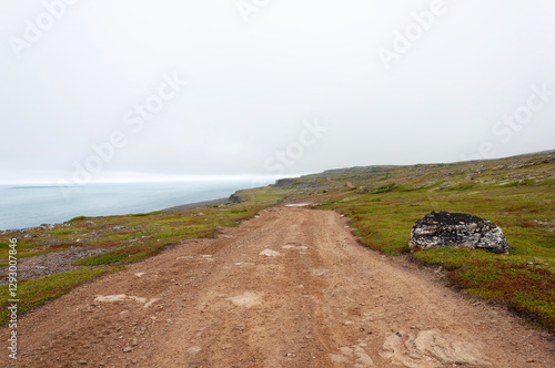 Dirt road along the Barents Sea shore in tundra. Rybachy Peninsula, Murmansk region, Russia photo