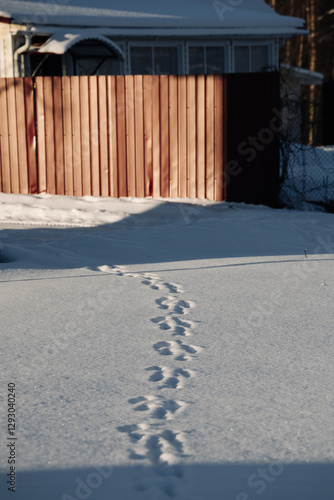 следы на снегу