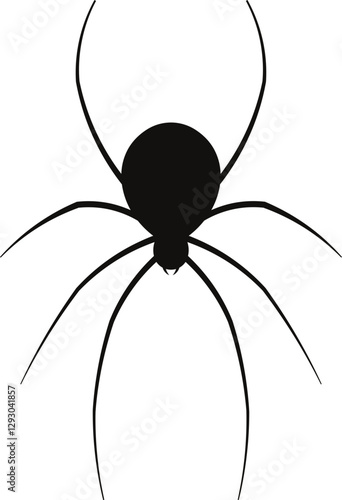 spider on a white background