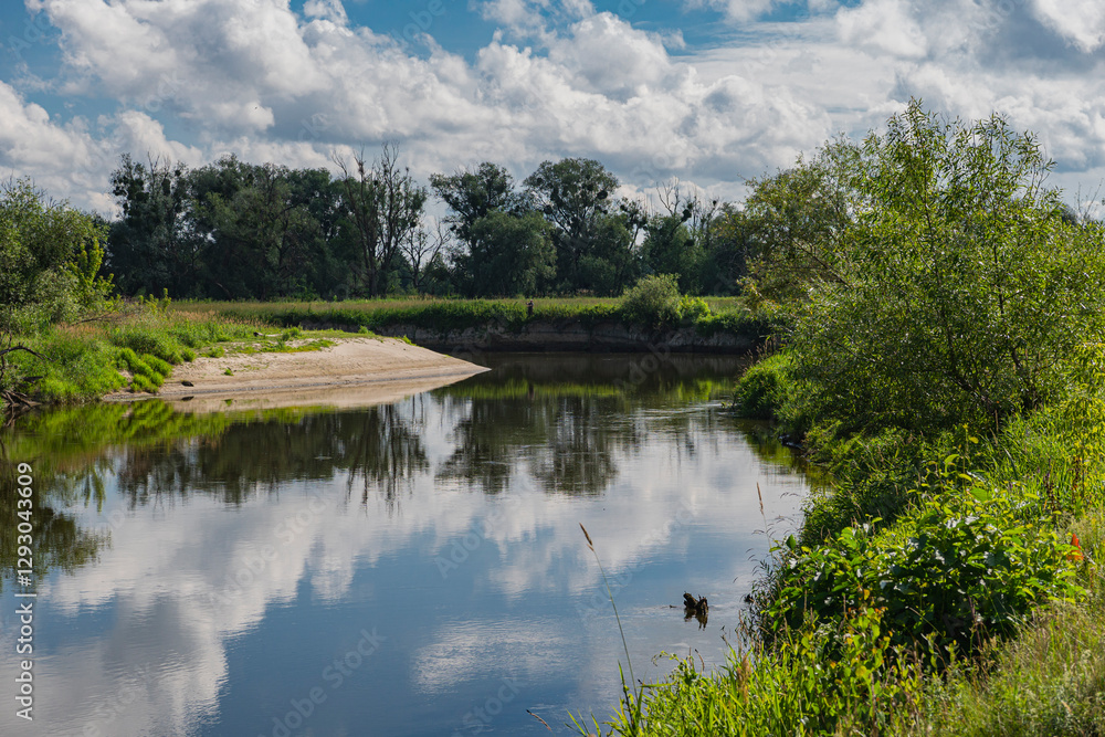 Obraz premium Natural landscape with a valley of Bug river in lubelskie voivodeship in Poland