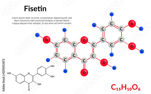 Fisetin plant flavonol, molecular structure formula, ball-and-stick model, suitable for education or chemistry science content. Vector illustration