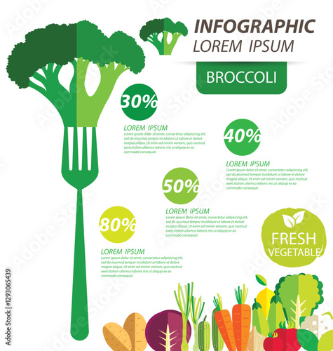 broccoli , infographics. vegetables vector illustration