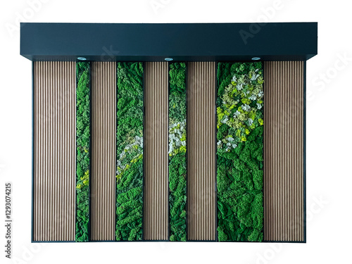 artwall png decorate frame wood green plant planterior