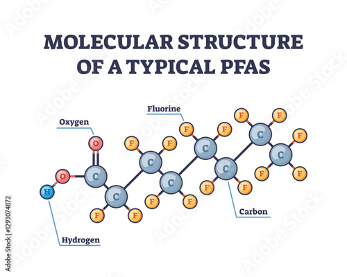 PFAS molecular structure shows carbon-fluorine bonds, illustrating chemical stability, transparent background.