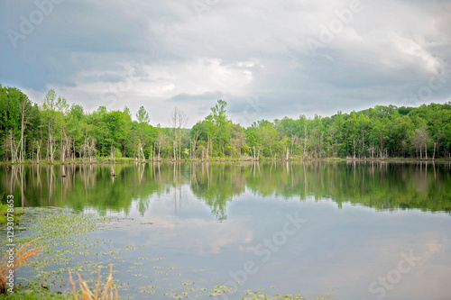 A calm lake reflects lush trees under a cloudy sky