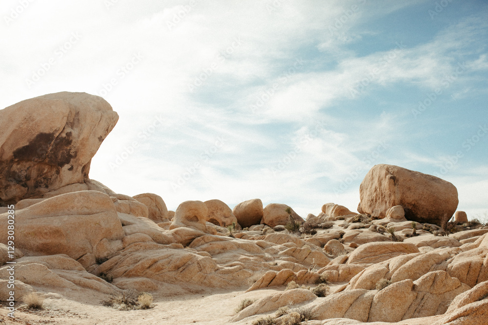 Rugged Beauty: Joshua Tree National Park Landscape Rugged Beauty: Joshua Tree National Park Landscape