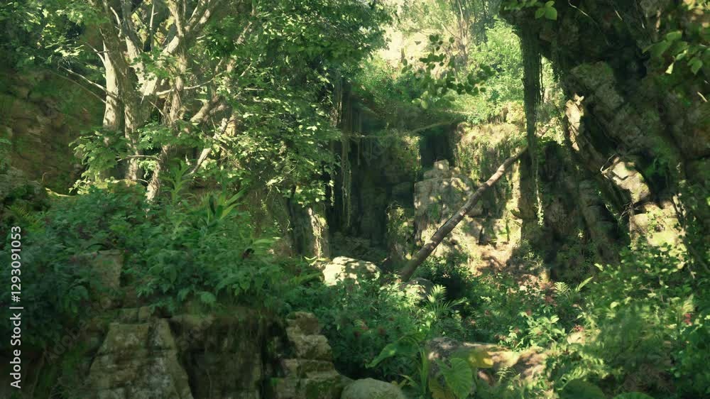 A vibrant and dense green forest with a multitude of towering trees. mountain path A vibrant and dense green forest with a multitude of towering trees. mountain path