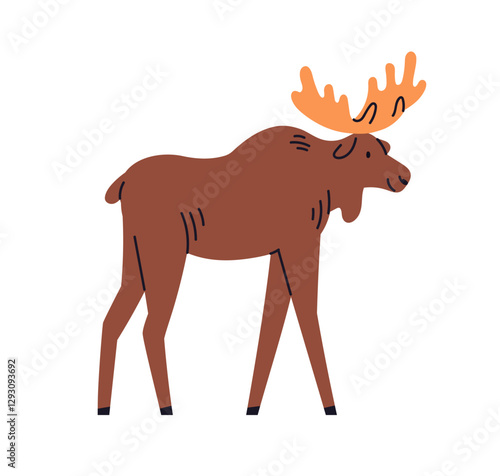 Moose walking. Large wild elk, forest mammal with broad horns, antlers. Cute ...