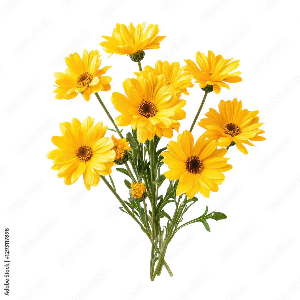 Fototapeta premium Yellow Flower Bouquet Still Life on transparent background.