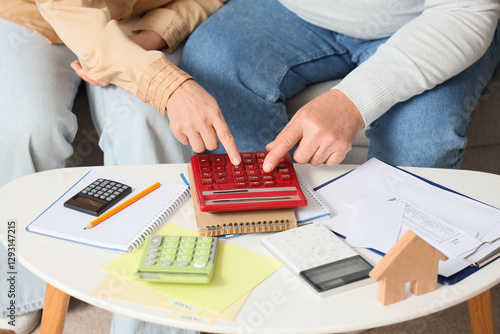 Senior couple calculating u...