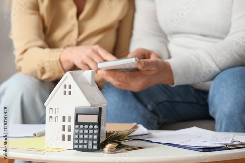 House figure with calculato...