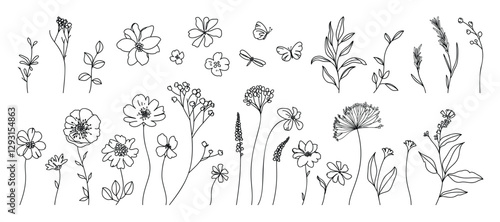 Collection of floral and botanical elements. Set of leaf, foliage wildflowers, plants, bloom, leaves and herb. Hand drawn of blossom spring season vectors for decor, website, wedding card and shop.