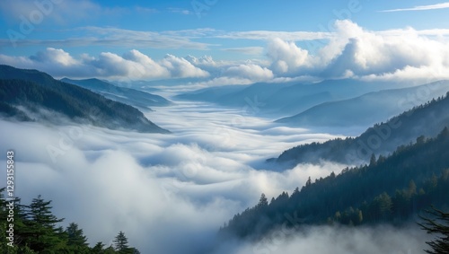 Wallpaper Mural Misty Mountain Valley with Flowing Clouds Over Dense Forests and Scenic Peaks Under a Bright Blue Sky Torontodigital.ca