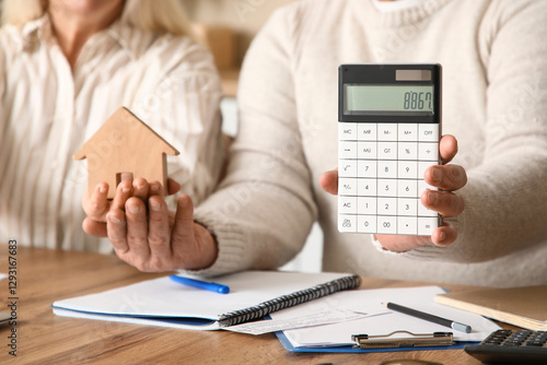 Senior couple with calculat...