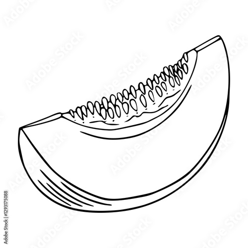 outline drawing of a fresh melon for coloring pages