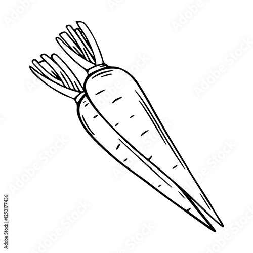 outline drawing of a fresh carrot for coloring pages