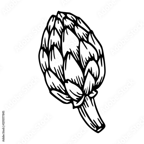 outline drawing of a fresh artichoke for coloring pages