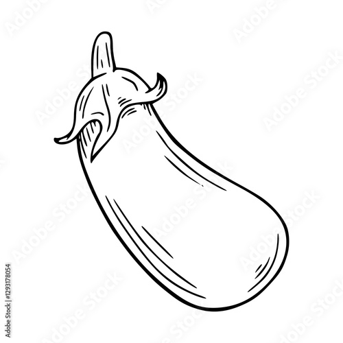 outline drawing of a fresh eggplant for coloring pages