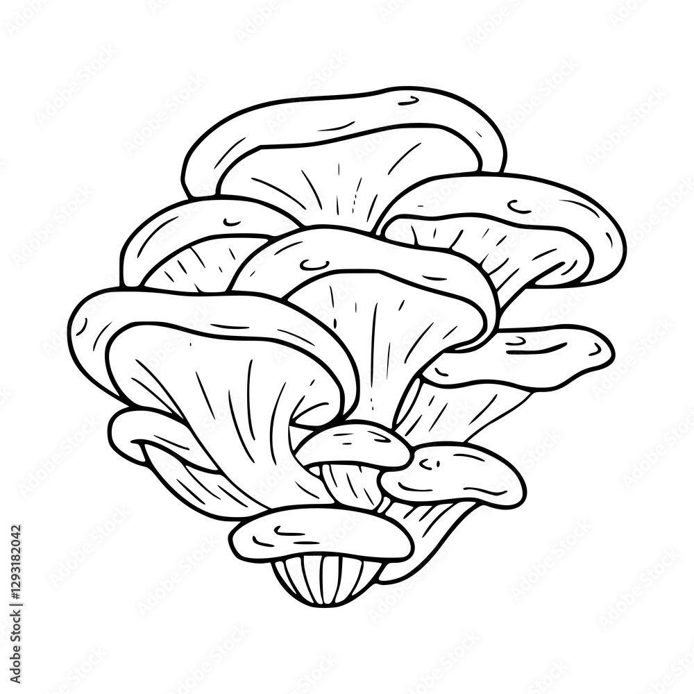 vector illustration of a mushroom for vegetables design vector illustration of a mushroom for vegetables design