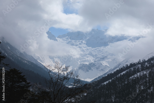 Beautiful high altitude snow capped mountain and forest  in Tibet, China photo