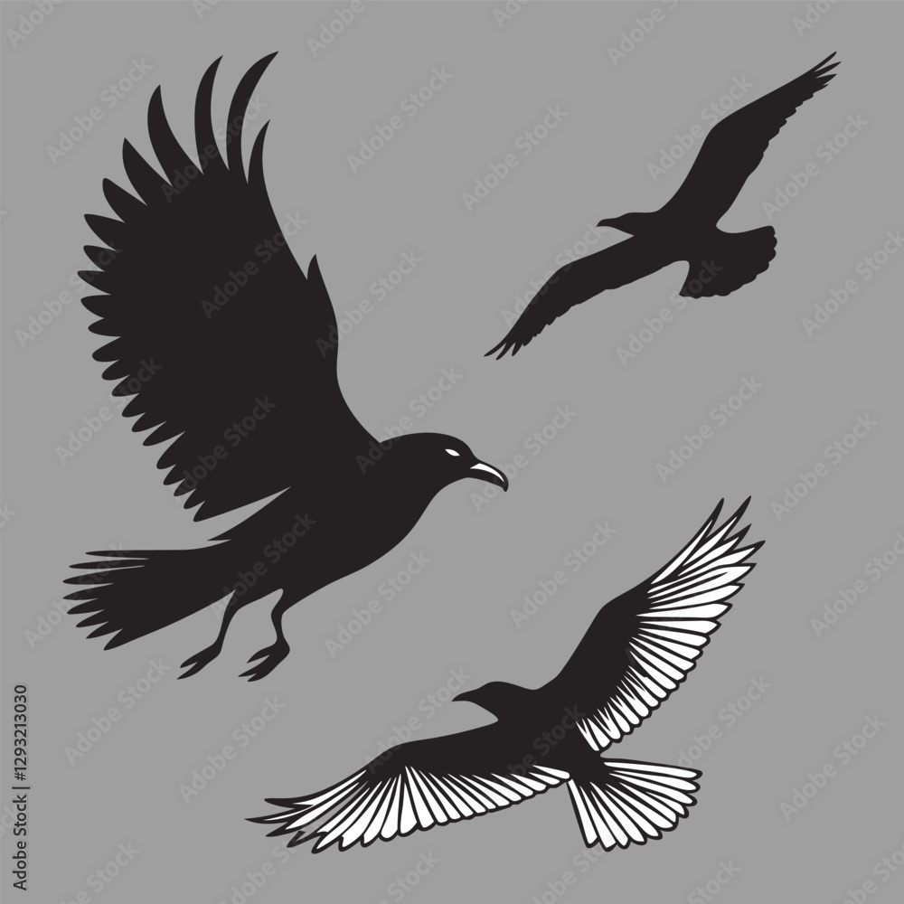 Obraz premium vector illustration of a bird