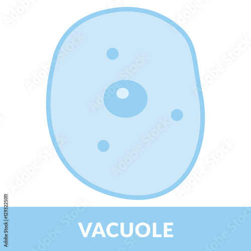 Vacuole Structure Design vector illustration