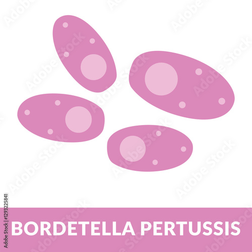 bordetella pertussis design vector illustration