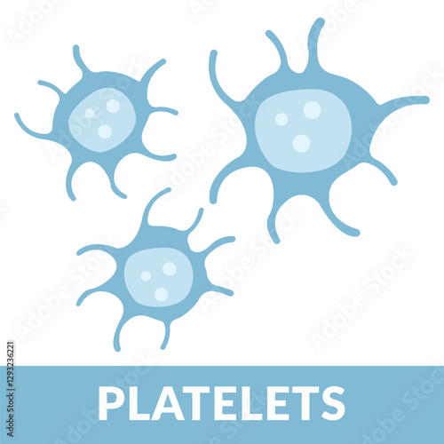 Platelets Flat Design vector illustration