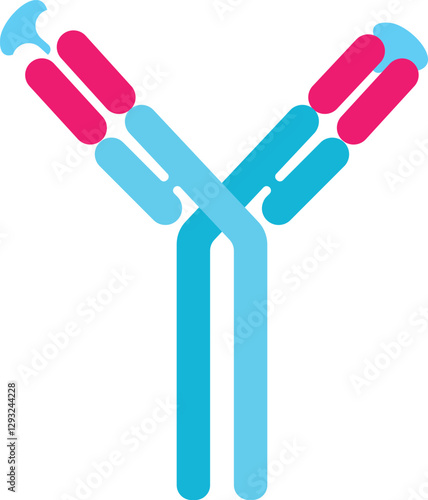 Antibody Design Vector illustration. Types of antibodies and immunoglobulin structures
