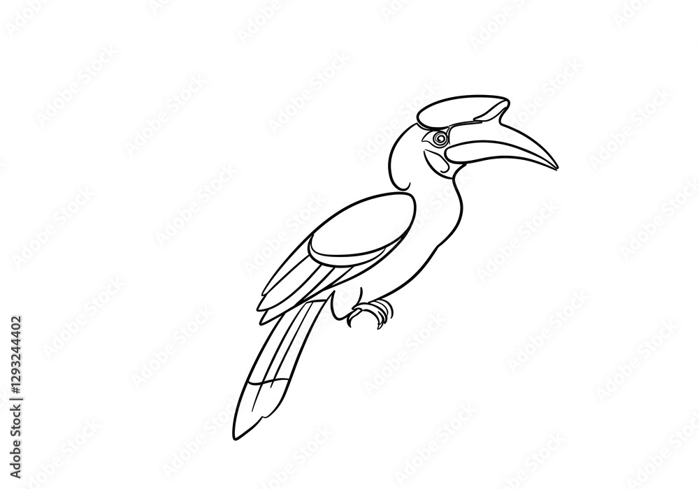 Fototapeta premium Hornbill Outline Drawing of Exotic Bird with Unique Beak Shape